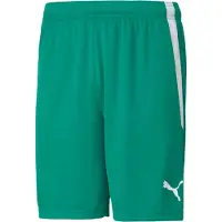 Puma Short Teamliga Hommes - Vert