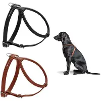 DOG SPORT Hunter harnais Round & Soft Canadian Up, taille:XS-S, couleur:cognac