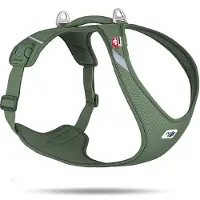 Curli Belka Comfort Harnais pour chien All New Vert XL (XL, Chien, Général)