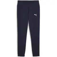 Puma Pantalon de sport 'TeamGOAL' marine / blanc