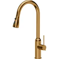 Quadron Virtuvinis maišytuvas Quadron Jessica Q LINE PullOut SteelQ stovintis varinis (84818011)