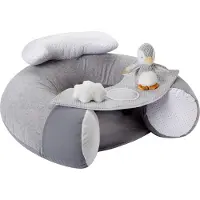 Nuby Siège bébé Penguin Sit-Me-Up - Siège gonflable au sol, plateau amovible, lavable en machine, convient à partir de 6 mois (gris) Gris 1 unité (lot de 1) Lit simple