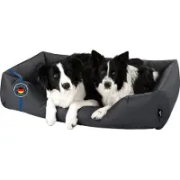 BedDog Lit pour chien ZARA : coussin pour chien avec housse lavable, panier pour chien, canapé pour chien, GRAPHITE (XXL), env. 120 x 85 x 23 cm