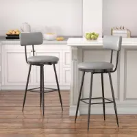 ProximaX Tabouret de bar (lot de 2), chaise de bar, chaise de cuisine, tabouret de comptoir, tabouret design, avec dossier repose-pieds, bien rembourré, en velours métal, gris