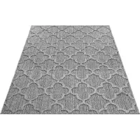 Ayyildiz Hali Tapis d'extérieur résistant aux intempéries, forme rectangulaire, dimensions 120x170 cm, couleur grise, idéal pour le camping, le jardin ou l'intérieur, design scandinave