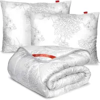 AIO Factory Couverture Antiallergique en Microfibre 160X200 Cm + 2X oreiller 70X80 Cm - Blanc
