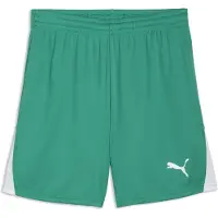 Puma Hommes, Bas de sport, teamLIGA26 Shorts (XXL), Noir
