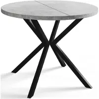 Alpi Möbel AlpiMeble Table de salle à manger ronde LOFT LITEN, table extensible diamètre : 100 cm/180 cm, table de salon, couleur : gris clair, avec pieds en métal de couleur noire