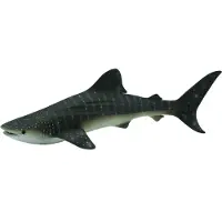 Collecta Requin-baleine - (XL)