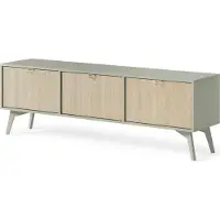 Bettso Meuble TV au look moderne, 3 étagères spacieuses, résistant aux rayures et à l'abrasion, design moderne FIRR RTV158, eucalyptus + motif à chevrons Scandi
