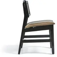 AEA Chaise de salle à manger noire Chaise en bois Nouveau mobilier Siège rembourré Design Moderne