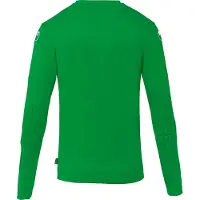 Uhlsport Prediction Tw Maillot manches longues homme - Vert / Blanc