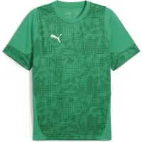 Puma Hommes, T-shirt de sport, teamCUP Maillot d'entraînement (M), Vert, M