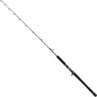 Penn Carnage Viking Edition Spinning Rod Argenté 1.72 m / 150-500 g
