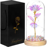 Springos Rose dans un dôme en verre Rose éternelle cadeau pour la Saint-Valentin Fleur artificielle éclairée par LED 22 cm