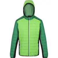 Regatta - Veste matelassée « Trutton II » pour homme RG9448 (3XL) (vert jasmin/vert kaki)