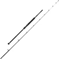 Penn Squadron Iv Uptide Spinning Rod Argenté 3.00 m / 6-10 oz