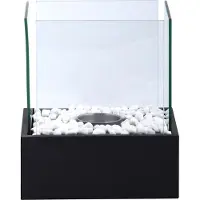 Esschert Design Cheminée bioéthanol rectangle - L 21 x l 24,8 x H 28,2 cm - Noir