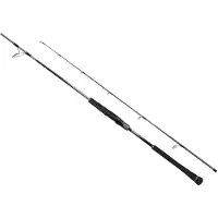 Shimano Fishing Ocea Plugger Limited Popping Rod Argenté 2.51 m / 120 g