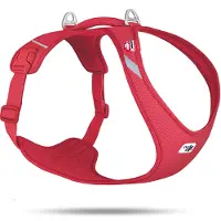 Curli Belka Comfort Harnais pour chien All New Rouge 3XL (3XL, Chien, Général)