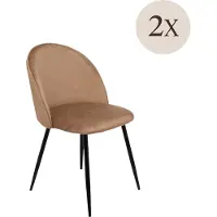Dmora Achito - Chaise, Beige, 2 Chaises