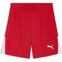 Puma Pantalon de sport 'TeamLiga26' rouge / blanc