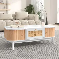 MODFU Tables Basses avec Portes Coulissantes, Table Basse en Rotin avec Rangement Intégré, Plateau en Bois Massif, 110×55×38,5 cm - Blanc