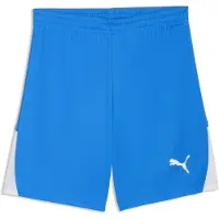 Puma Pantalon de sport 'TeamLiga26' bleu ciel / blanc
