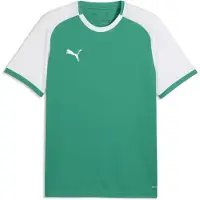 Puma Hommes, T-shirt de sport, teamLIGA26 Matchday Jersey (3XL), Vert, 3XL