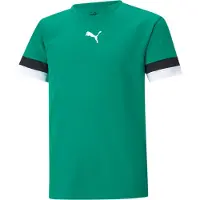 Puma Teamrise Maillot à Manches Courtes Enfants - Vert