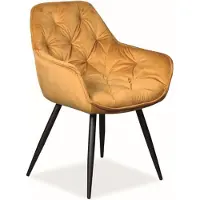 Feldmann-Wohnen Lot de 6 chaises de salle à manger et de cuisine Cherry Curry