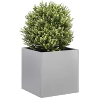 Prolenta Maison Exclusive - Jardinière 40 x 40 x 40 cm en acier galvanisé