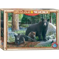 Eurographics Puzzle Nouvelles Découvertes par Kevin Daniel, 1000 pièces, 68 x 48 cm, 6000-0793