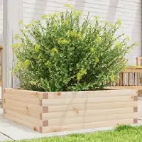 Prolenta Maison Exclusive - Bac à plantes 70x70x23 cm en pin massif