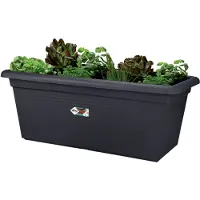Elho basics garden xxl Outdoor Plante en pot Autonome Polypropylène (PP) (77 x 39 x 34 cm)
