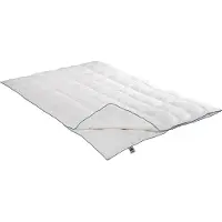 Badenia irisette 4-Jahreszeiten-Daunendecke Luna (230 g, Duvet, 155 x 200 cm)