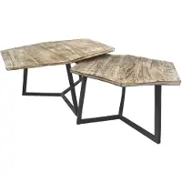Abato Table basse set de 2 tables d'appoint Table de salon Paris vieil argent