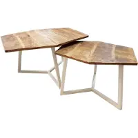 Abato Table basse set de 2 tables d'appoint Table de salon Paris blanc pur