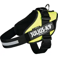 Julius-K9 Julius K9 IDC Power harnais pour chien taille 2 vert fluo 16IDC-NE-2