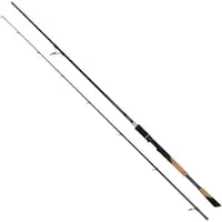 FOX Rage Tr Power Shad Spinning Rod Argenté 2.40 m / 30-80 g