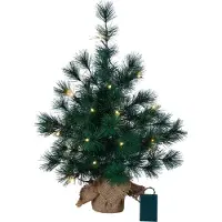 Star Trading 600-35, Zelená, IP20, LED, 20 ampoules, Blanc chaud, Fonctionne sur batterie