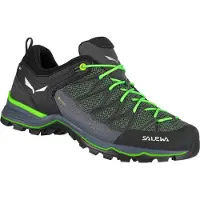 Salewa Mountain Trainer Lite Gore-tex Hiking Shoes Vert EU 42 Homme