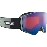 Julbo Sharp Polarized Ski Goggles Vert,Bleu Flash Blue/CAT2