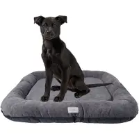 BOUTIQUEZOO Lit pour chien - imperméable, lavable Tapis pour chien en codura | In & Outdoor pour petits chiens | Couleur : graphite, Taille S : 70 x 50 cm