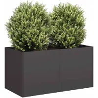 Prolenta Maison Exclusive - Jardinière noire, 80x40x40 cm, en acier laminé à froid
