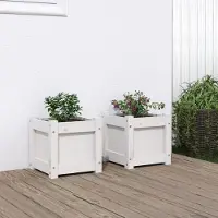 Prolenta Maison Exclusive - 2 bacs à plantes blancs en bois massif de pin