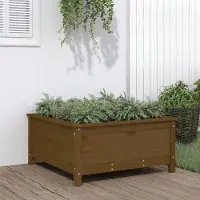 Prolenta Maison Exclusive - Jardinière en bois massif de pin, couleur miel, dimensions 82,5 x 82,5 x 39 cm