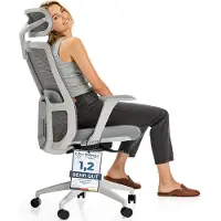 Desktronic Chaise de bureau ergonomique SitOne, réglable, grise, accoudoirs 4D, soutien lombaire intégré à 4 positions