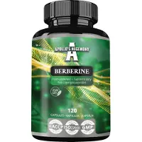 Apollo's Hegemony Extrait de berbérine HCL 98 % - Gélules de 333 mg - 120 gélules végétaliennes