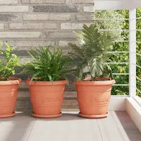 Prolenta Maison Exclusive - Jardinières, lot de 6, couleur brique, diamètre 30 cm, hauteur 25 cm, plastique